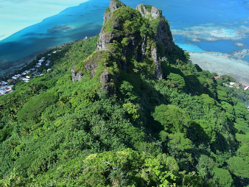 Mactan airport to Cebu City van transfer